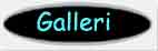 Enter Gallery