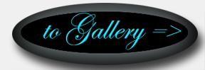 Enter Gallery
