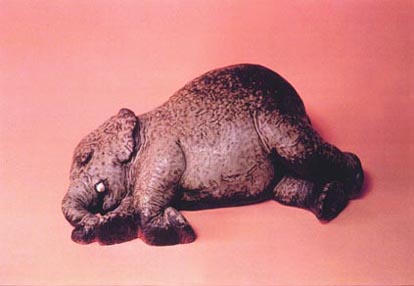 resting elephant