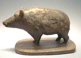 Wild Boar