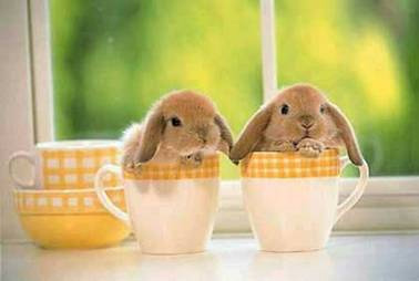 True Friends always pop up to say Hello....