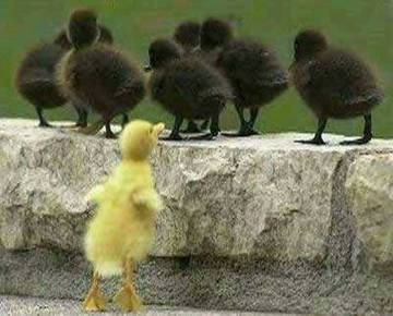 True Friends don't Care if you're a lil' different...