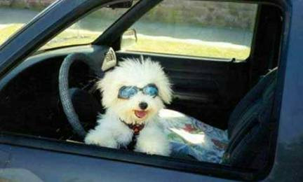 True Friends will drive you anywhere!......