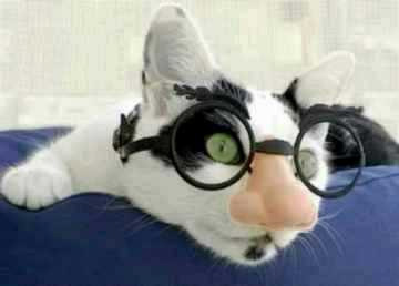 True Friends don't laugh at you when you get new glasses...