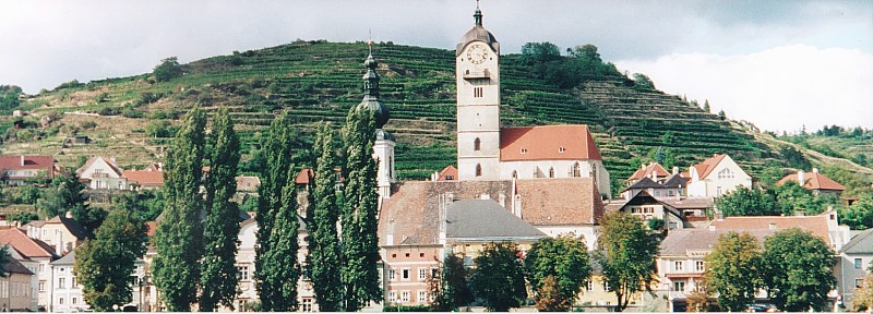 Danubevineyards.jpg (112219 bytes)