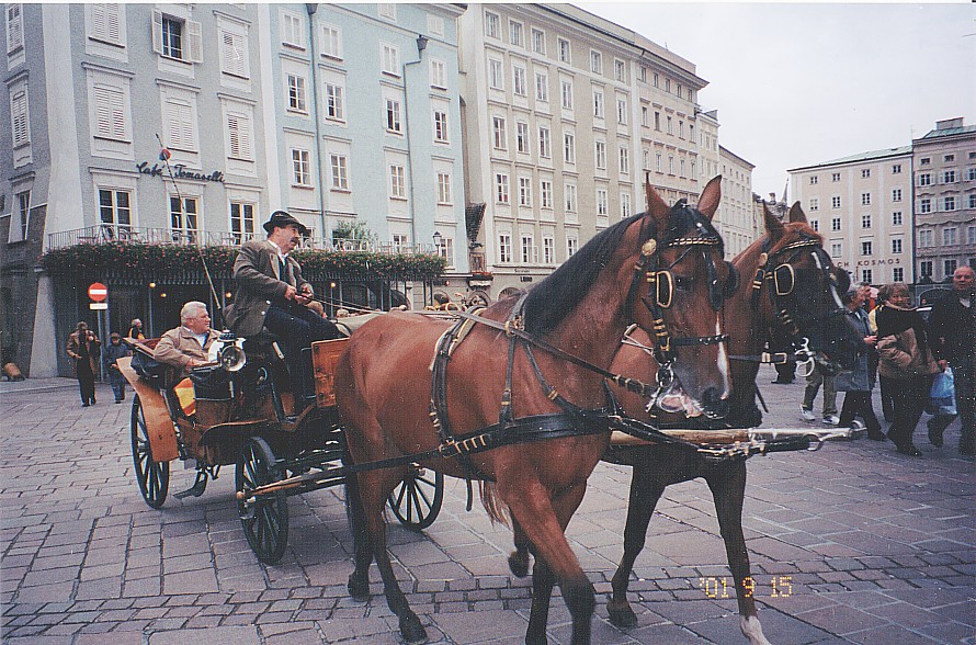 carriageride2.jpg (232492 bytes)