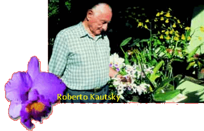 This is an article about Roberto Kautzky Brazils Reincarnation of Johnny Appleseed, You can click on the image to take you to the page where I found this, You will probably need a translation (Portugese) Altavista.com and Google.com both have translators