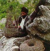 hasir