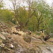 kurdistan