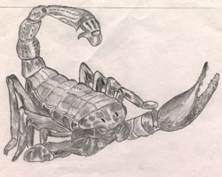 I draw this when I was 15 year's old...