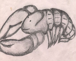 I draw this when I was 13 year's old...