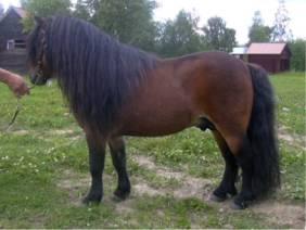 Rakenne