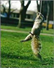 some of the cutest pictures ever taken...EVER!!