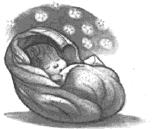 Baby Harry