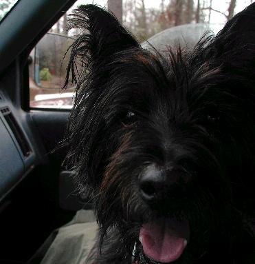 Charlie