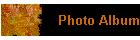 Photo Album