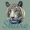 If you like this site Pass It On to a friend !