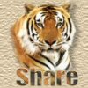 If you like this site Pass It On to a friend !