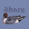 If you like this site Pass It On to a friend !