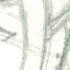 Upclose of Kristia
