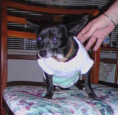pet