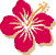 Hibiscus Flower