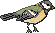 sprcl1g.gif