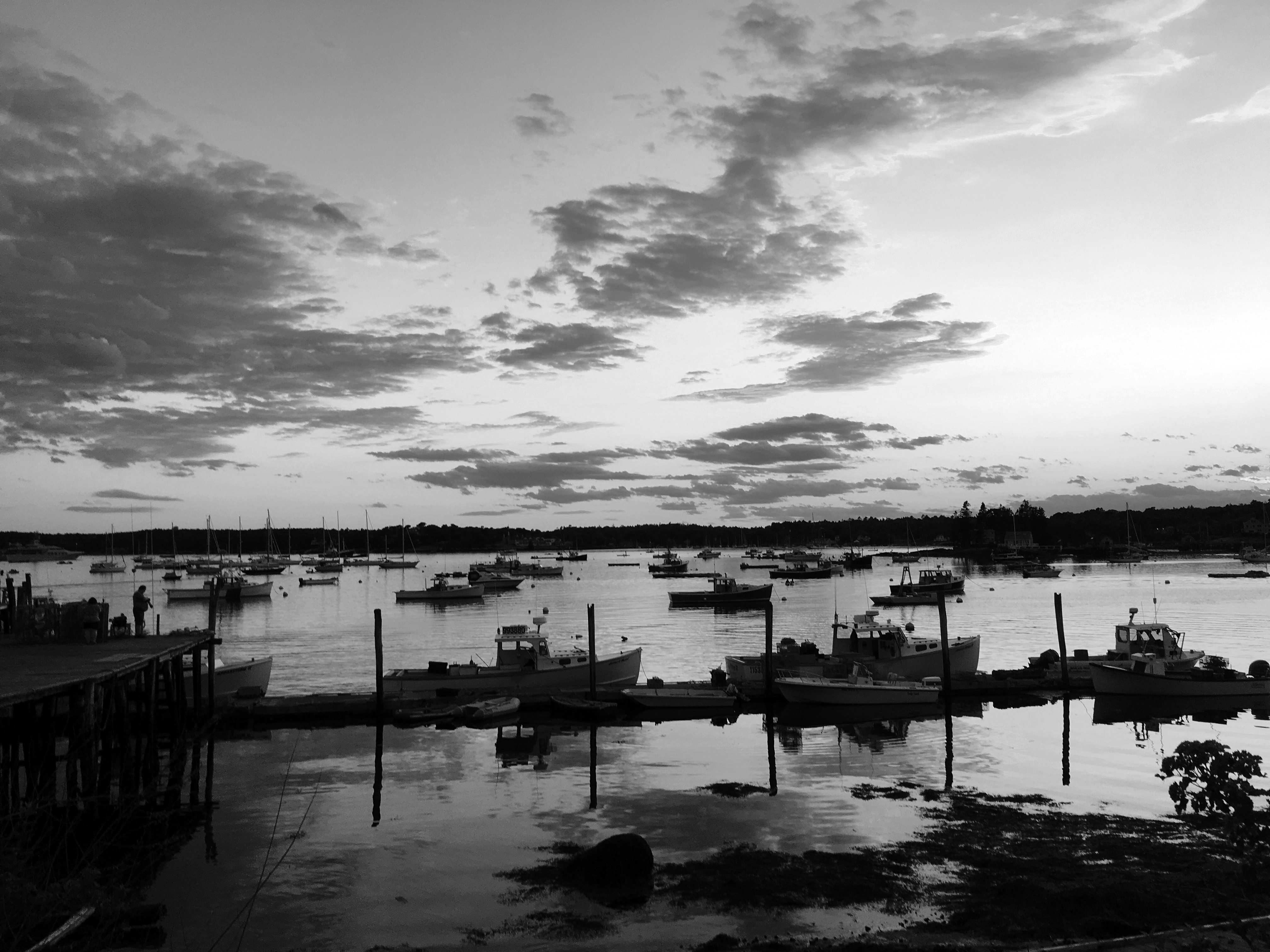 boats