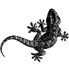 Kiss the Gecko!