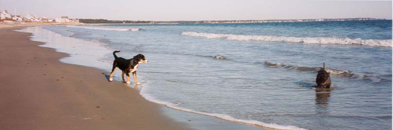 kayladuff_beach