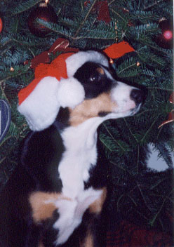 santa