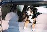 kayladuff_in_car