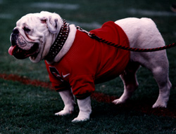 Uga V, ain't he cute *L*