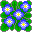 morning glory