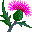 thistle