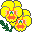 yellow pansy