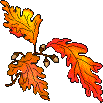 leaves