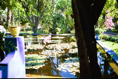 Jardin Majorelle, Marrakech
