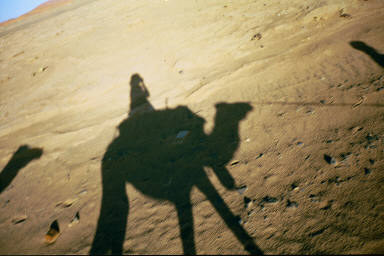 My shadow on the dromedary