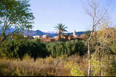 On the way to the Todra Gorge