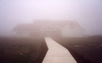 Foggy Cape St Mary's bird sanctuary, Avalon Peninsula, Newfoundland