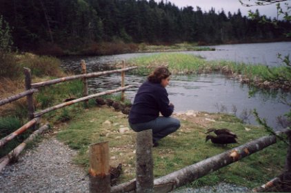 Jennifer feeding ducks at Memorial University's arboretum, St John's, Newfoundland