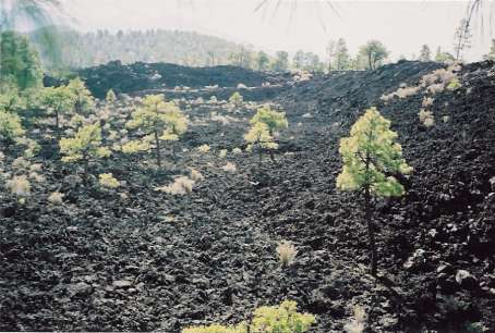 The Sunset Crater lava flow