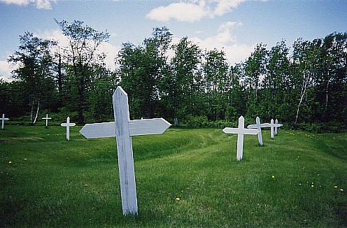 Grosse Ile's Irish cemetery