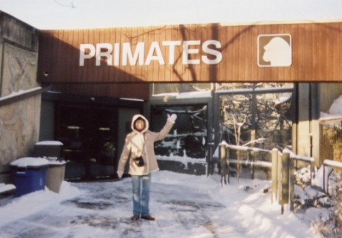 Kelly's looking for a husband in the Primates department - but all the good ones are already taken...