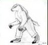 Brocka - werebadger
