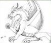 A random dragon