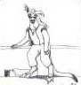 Sojourner updated - kangaroo