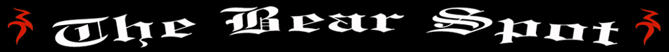Bearspot Logo