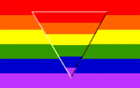 Super-imposed triangle on Pride Flag